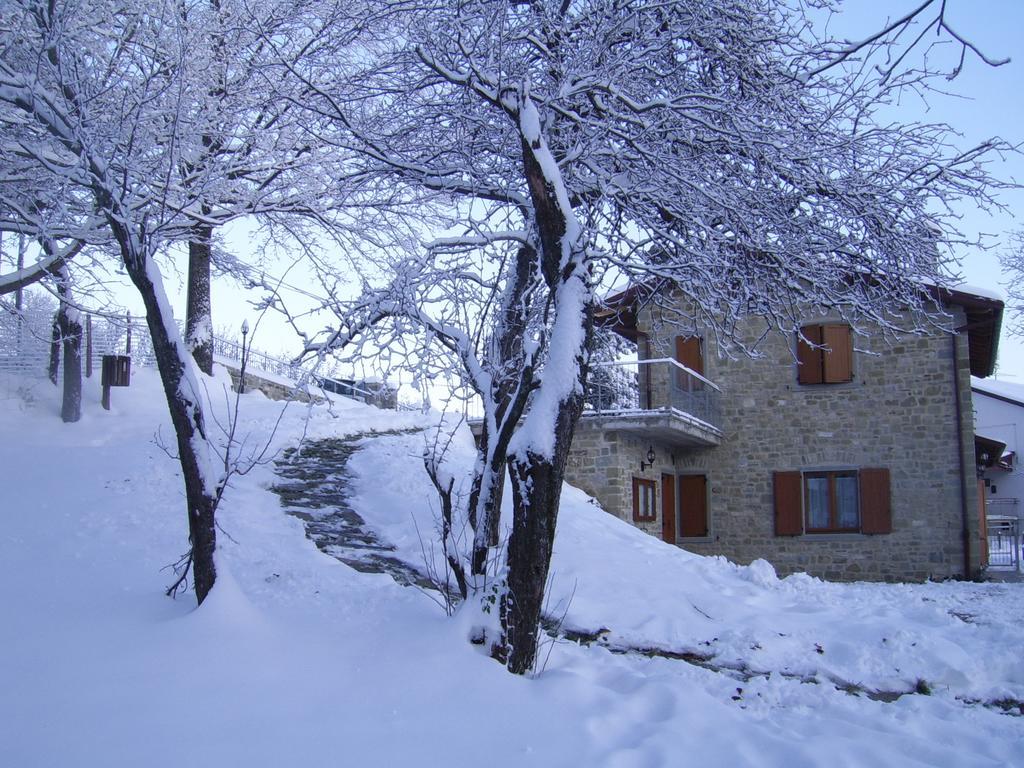Agriturismo Il Falco Del Monte Fumaiolo Alfero Exterior photo